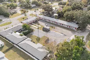 1401 E Alfred St, Tavares, FL 32778 - Photo 9