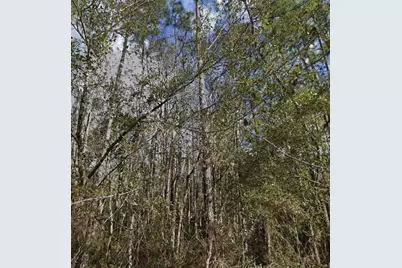 Se 3rd Street, Palatka, FL 32177 - Photo 1