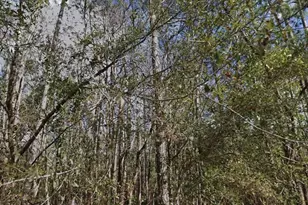 SE 3rd St, Palatka, FL 32177 - Photo 1