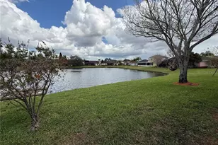 3154 Hanging Moss Cir, Kissimmee, FL 34741 - Photo 47