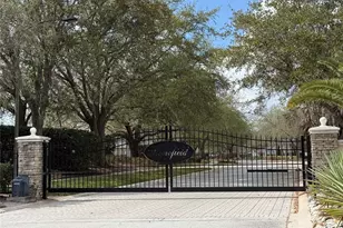 3154 Hanging Moss Cir, Kissimmee, FL 34741 - Photo 53