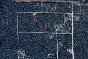 112 Waites Dr, Florahome, FL 32140 - Photo 1