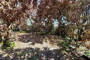 531 Carlisle Ave, Altamonte Springs, FL 32714 - Photo 17