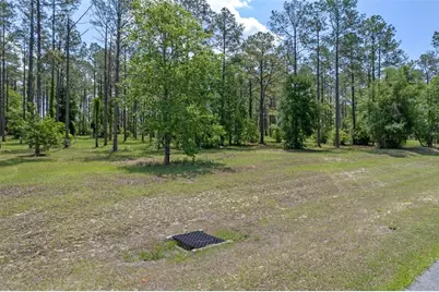 35408 Pinegate Trail, Eustis, FL 32736 - Photo 3