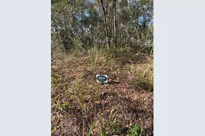 4416 Cobalt Street, Palatka, FL 32177 - Photo 3