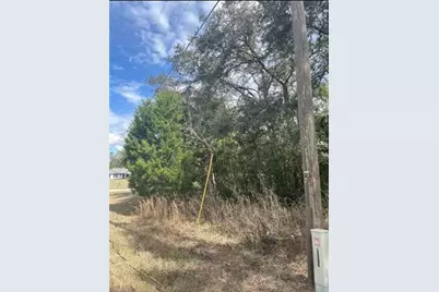 Tbd 94th Ave, Belleview, FL 34420 - Photo 5