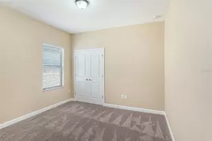 11944 N Cinnamon Fern Dr, Riverview, FL 33579 - Photo 13