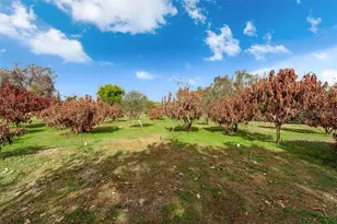 8704 Benoit Ave, Orlando, FL 32836 - Photo 43