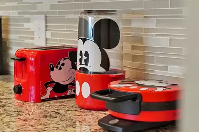 7578 Oak Spring Lane, Davenport, FL 33837 - Photo 11