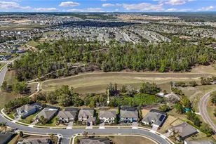 615 Timbervale Trail, Clermont, FL 34715 - Photo 81