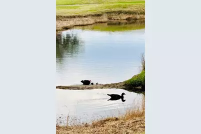 627 Arnold Palmer Drive, Davenport, FL 33837 - Photo 47