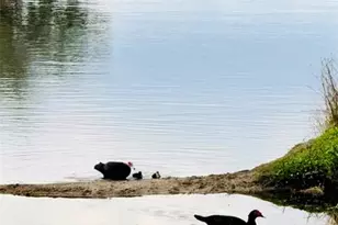 627 Arnold Palmer Dr, Davenport, FL 33837 - Photo 47