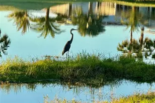 627 Arnold Palmer Dr, Davenport, FL 33837 - Photo 47