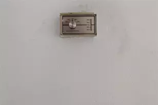 3101 Elderwood Pl, Seffner, FL 33584 - Photo 43