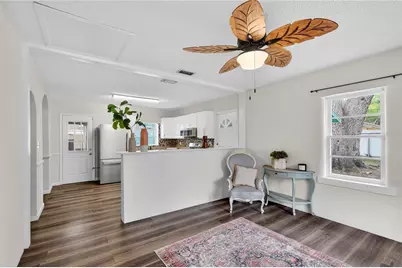 521 Michigan Street, Mount Dora, FL 32757 - Photo 5