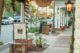 30106 Cheval St, Mount Dora, FL 32757 - Photo 35