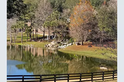 [Address not provided], Mount Dora, FL 32757 - Photo 23