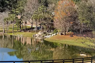 30106 Cheval St, Mount Dora, FL 32757 - Photo 23