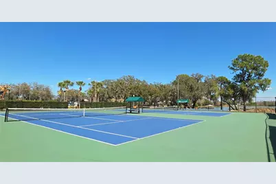 14439 Bluebird Park Road, Windermere, FL 34786 - Photo 47