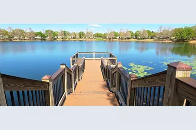 14439 Bluebird Park Road, Windermere, FL 34786 - Photo 37