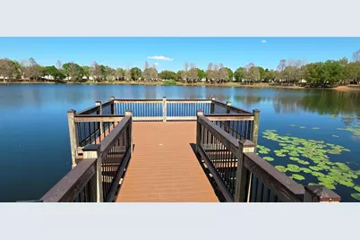 14439 Bluebird Park Road, Windermere, FL 34786 - Photo 39