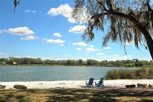 14439 Bluebird Park Rd, Windermere, FL 34786 - Photo 43