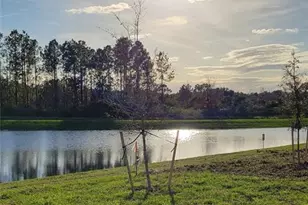 538 Hatteras Rd, Davenport, FL 33837 - Photo 21