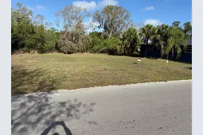 Singleton Avenue, Arcadia, FL 34266 - Photo 3