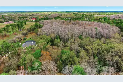 Quinlan Street, Orlando, FL 32833 - Photo 21