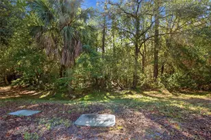 9620 Charlesberg Dr, Tampa, FL 33635 - Photo 27