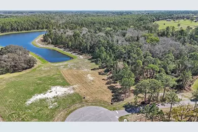 20280 Shoreline Ranch Lane, Umatilla, FL 32784 - Photo 7