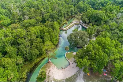 3808 Caledonia Ave, Apopka, FL 32712 - Photo 41