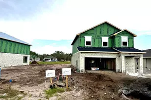 3645 Briarlynne Wy, Saint Cloud, FL 34773 - Photo 3