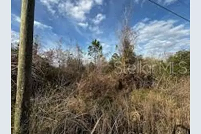 4125 Quail Nest Lane, New Smyrna Beach, FL 32168 - Photo 1