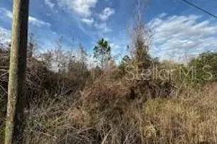 4125 Quail Nest Ln, New Smyrna Beach, FL 32168 - Photo 1