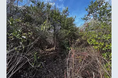 4125 Quail Nest Lane, New Smyrna Beach, FL 32168 - Photo 5