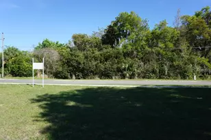 Palmetto St, Eustis, FL 32726 - Photo 1