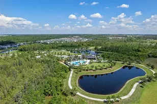 2502 Alligator Flag Ct, Clermont, FL 34714 - Photo 49