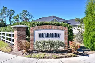 10922 Subtle Trail Dr, Riverview, FL 33579 - Photo 9