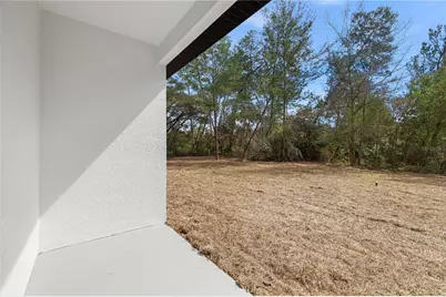 16313 SW 29th Court Road, Ocala, FL 34473 - Photo 33