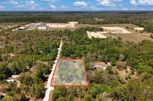 12231 NE 64 Pl, Williston, FL 32696 - Photo 3