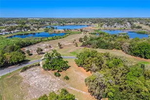 808 White Ivey Ct, Apopka, FL 32712 - Photo 53