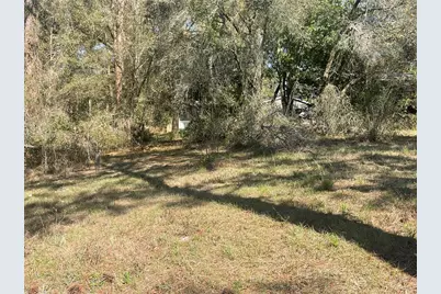 31725 Spruce Drive, Eustis, FL 32736 - Photo 23