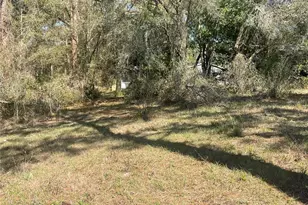 31725 Spruce Dr, Eustis, FL 32736 - Photo 23