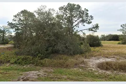 1317 Hillsborough Lane, Kissimmee, FL 34759 - Photo 3