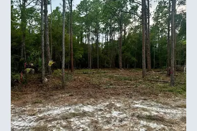 127 Longtree Street, Georgetown, FL 32139 - Photo 3