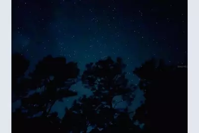 127 Longtree Street, Georgetown, FL 32139 - Photo 11