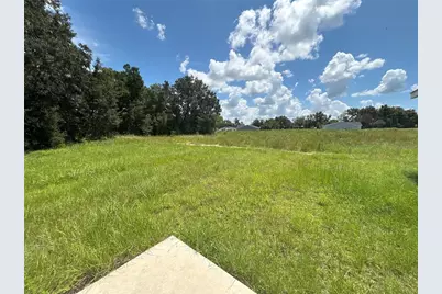 9 Malauka Loop Lane, Ocklawaha, FL 32179 - Photo 5