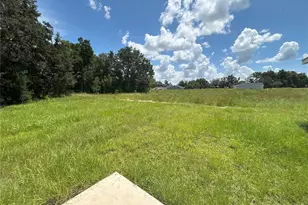 9 Malauka Loop Ln, Ocklawaha, FL 32179 - Photo 5