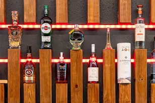 9225 Hanging vine court, Orlando, FL 32836 - Photo 27